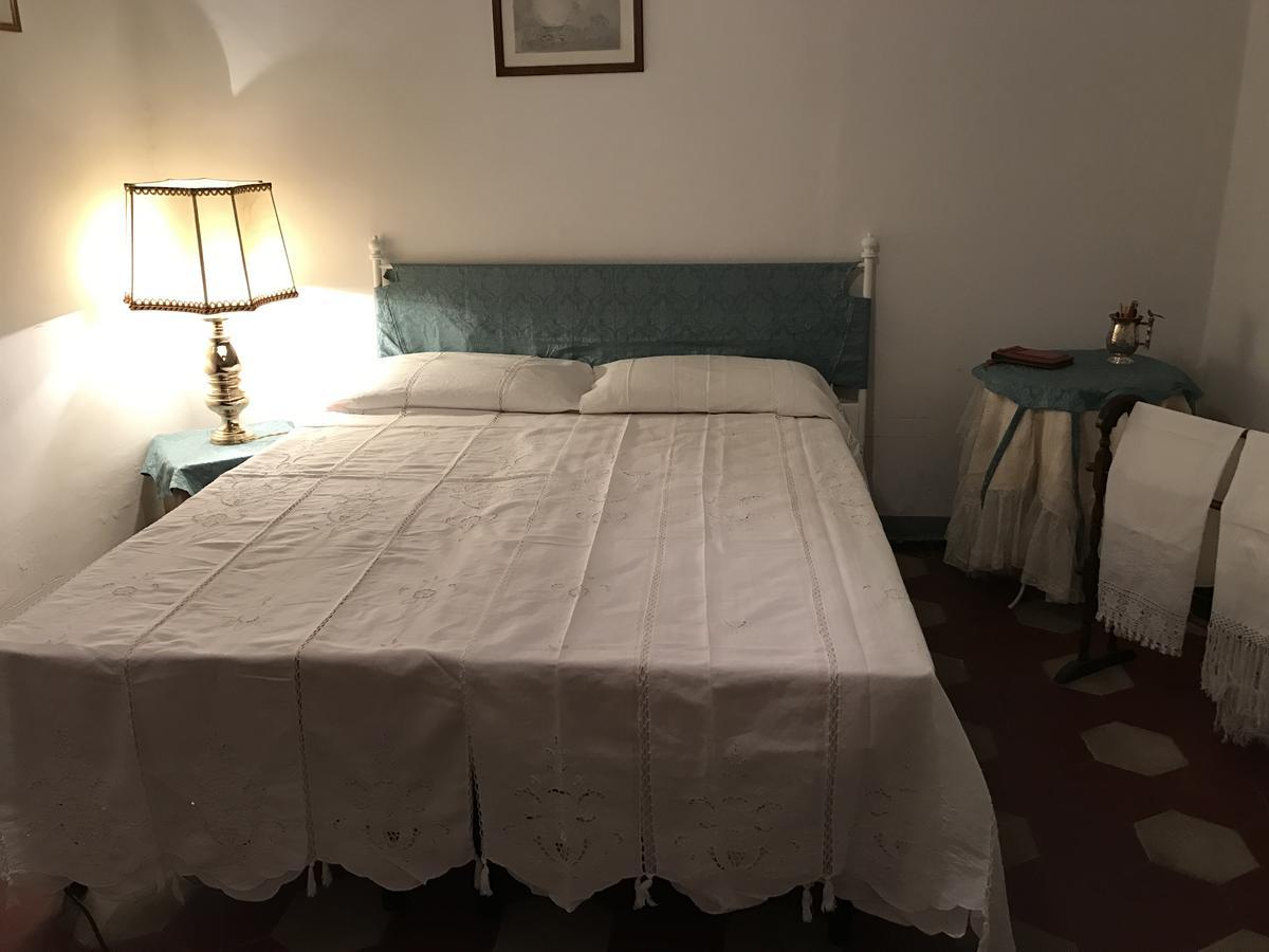 Alex Hostel
